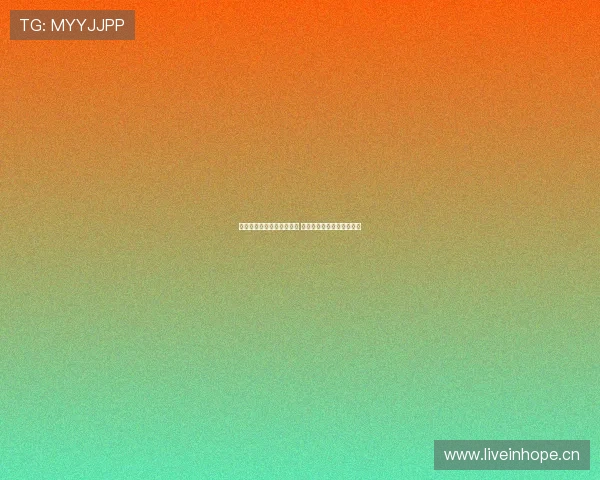 枫运体育官网全面升级优化 用户体验与安全性双重保障